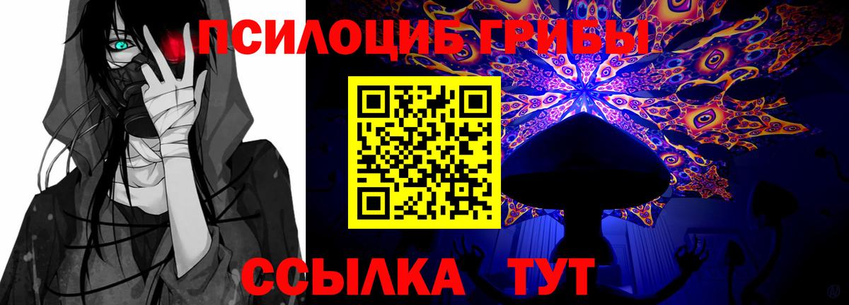 Псилоцибиновые грибы мицелий Горячий Ключ